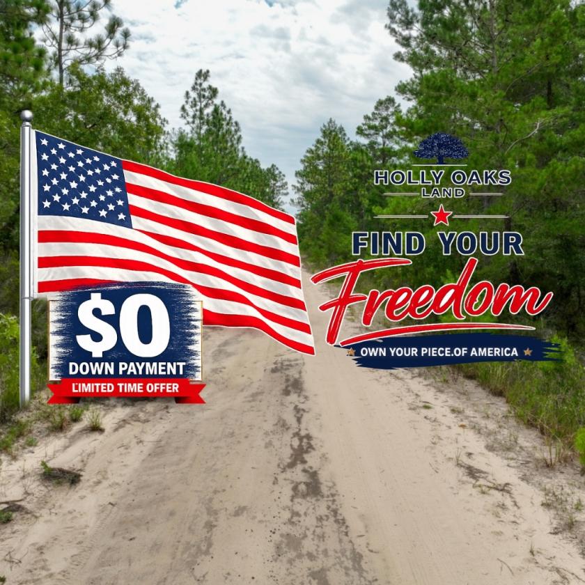 0.21 Acres for Sale in Interlachen, Florida