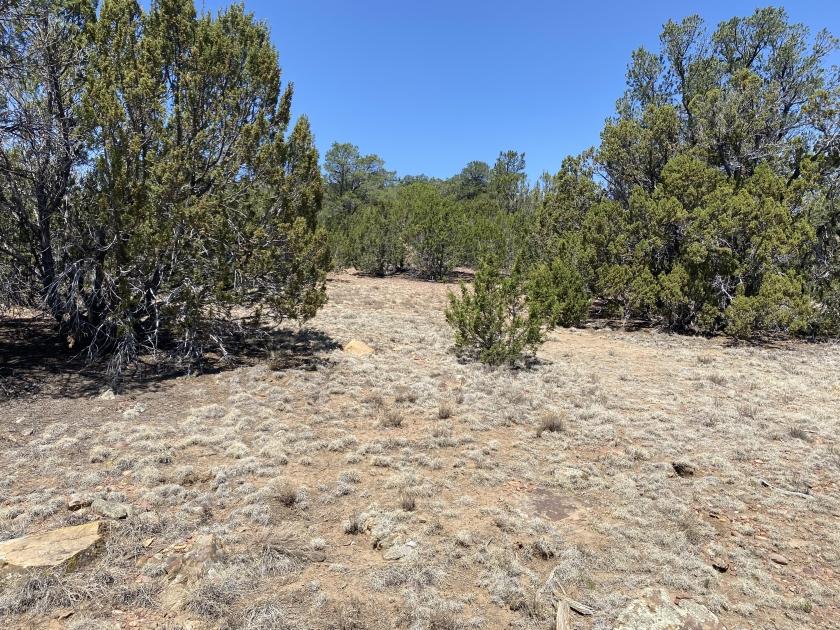 1.39 Acres for Sale in Show Low, Arizona