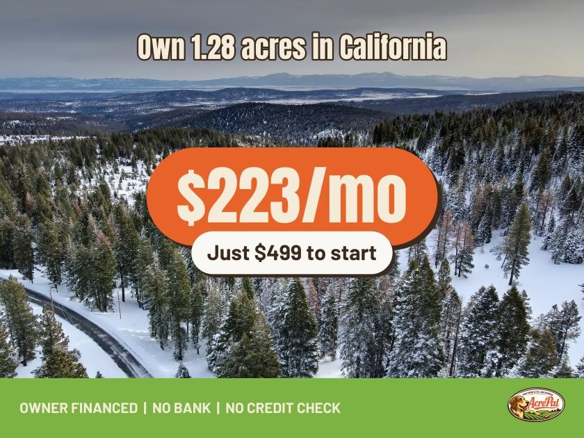 1.28 Acres for Sale in Alturas, California