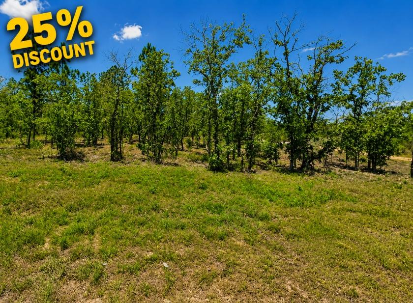 0.20 Acres for Sale in Hawthorne, Florida