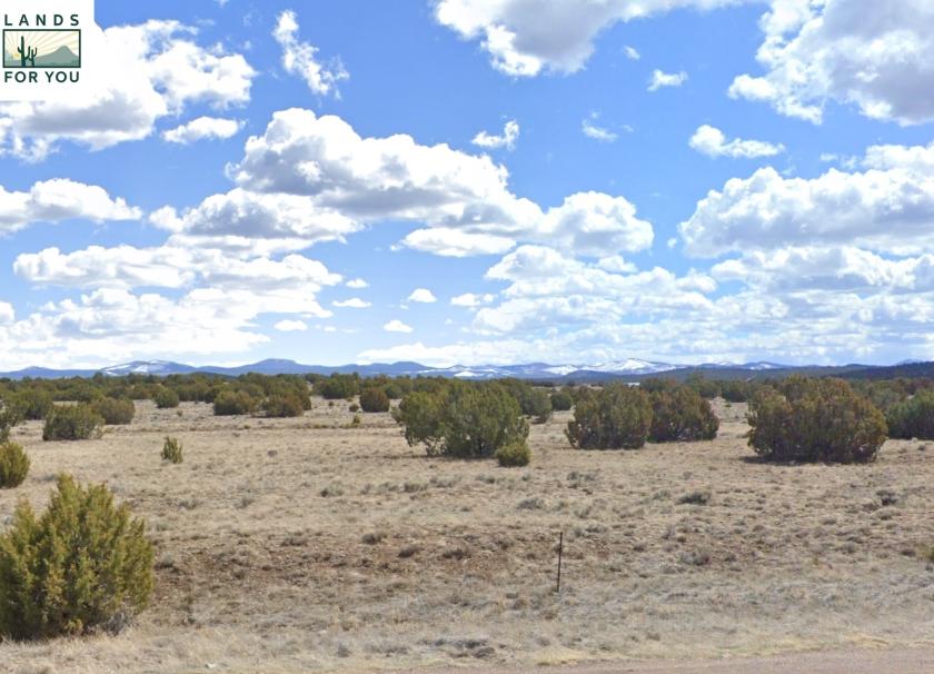 1.18 Acres for Sale in Concho, Arizona