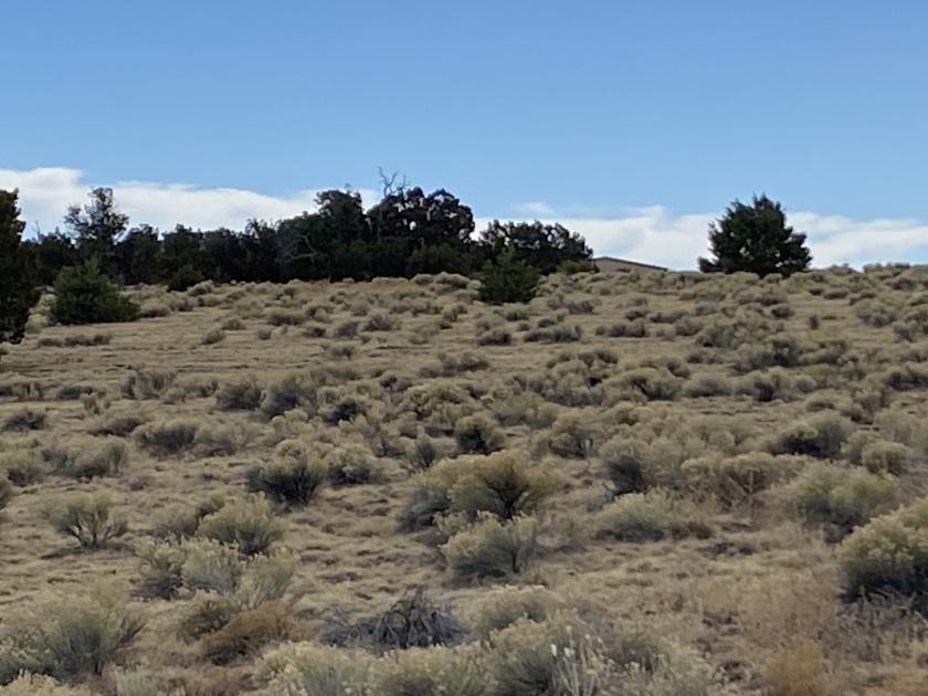 7.69 Acres for Sale in Doe Ln, New Mexico