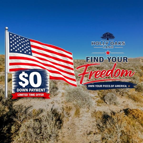 40 Acres for Sale in Wells, Nevada