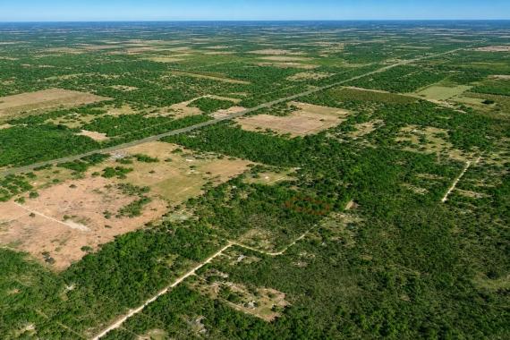 Old Town, FL Land for Sale: 1.25 Acres with Owner Financing Available