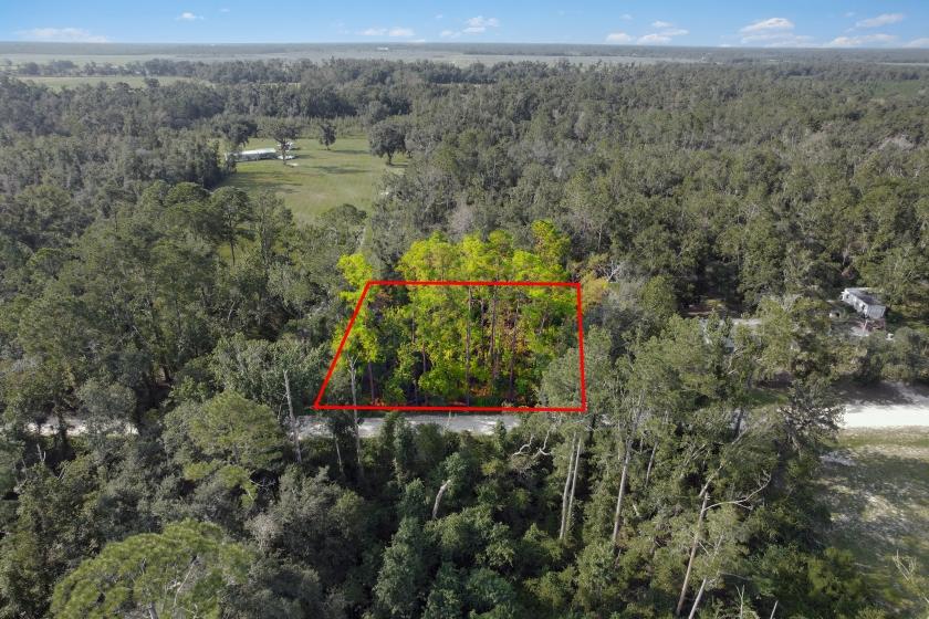0.46 Acres for Sale in Live Oak, Florida
