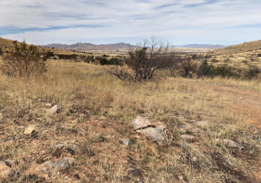 3.4 Acres for Sale in Sunsites, Arizona