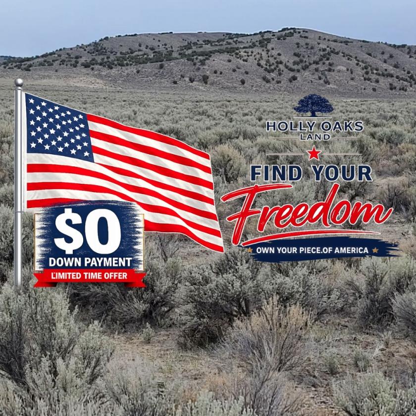 10 Acres for Sale in Wells, Nevada