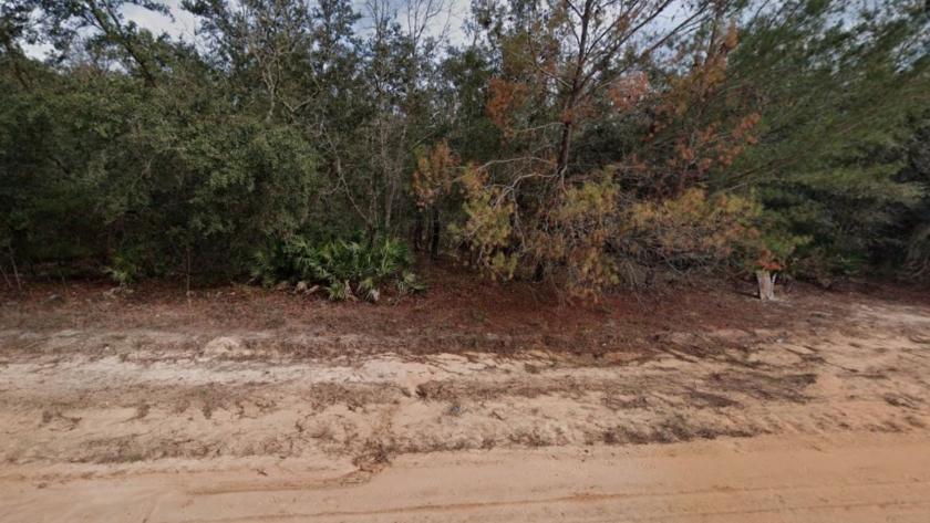 0.22 Acres for Sale in Interlachen, Florida