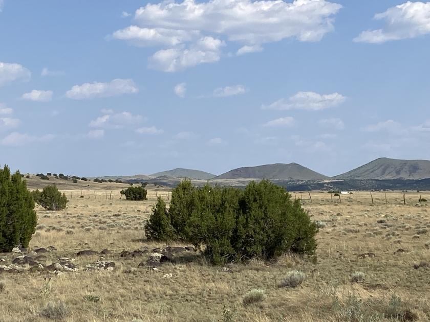 1.08 Acres for Sale in Concho, Arizona