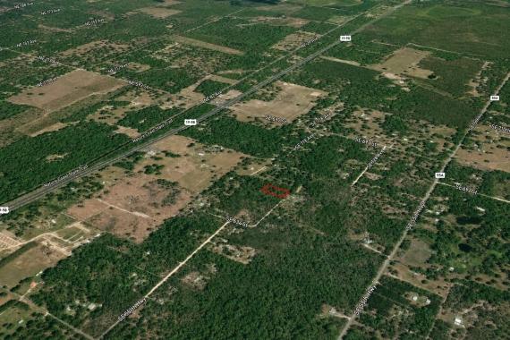 Old Town, FL Land for Sale: 1.25 Acres with Owner Financing Available