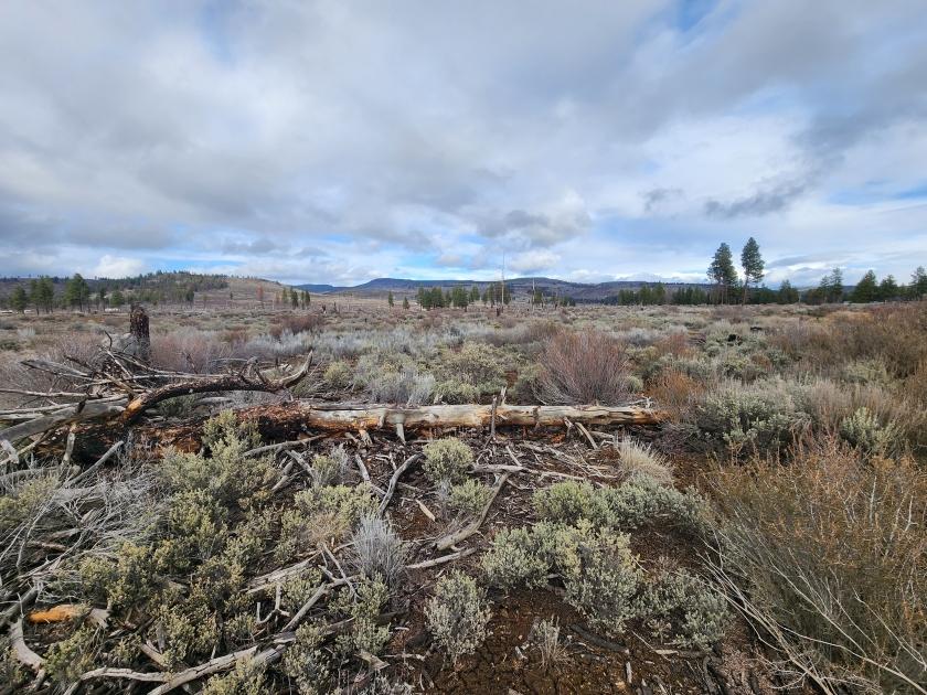 2.38 Acres for Sale in Chiloquin, Oregon