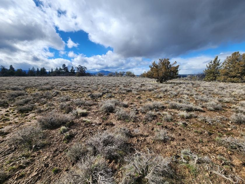1.57 Acres for Sale in Sprague River, Oregon