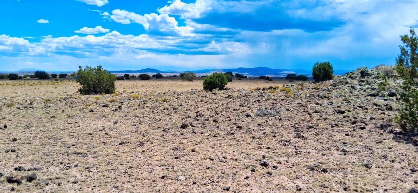 1.056 Acres for Sale in Concho, Arizona