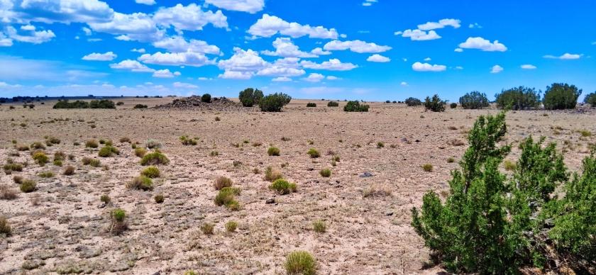 1.057 Acres for Sale in Concho, Arizona