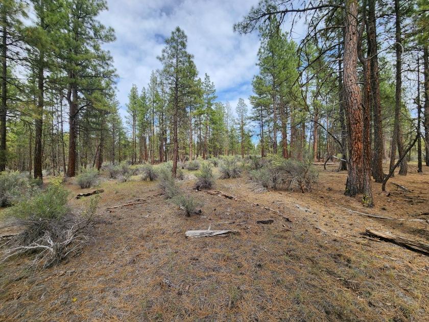 2.32 Acres for Sale in Sprague River, Oregon