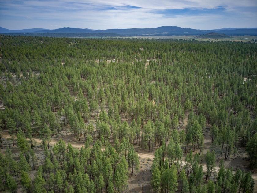 2.36 Acres for Sale in Sprague River, Oregon