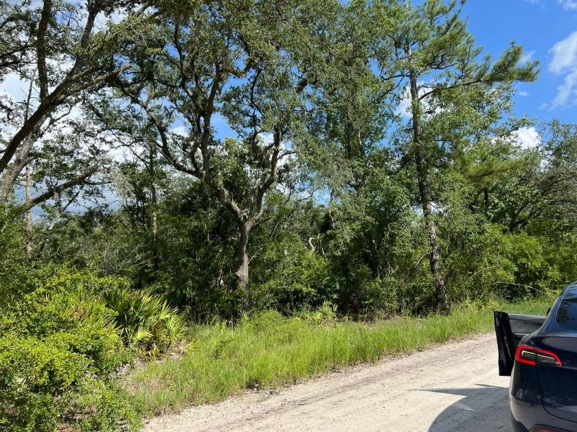0.23 Acres for Sale in Live Oak, Florida