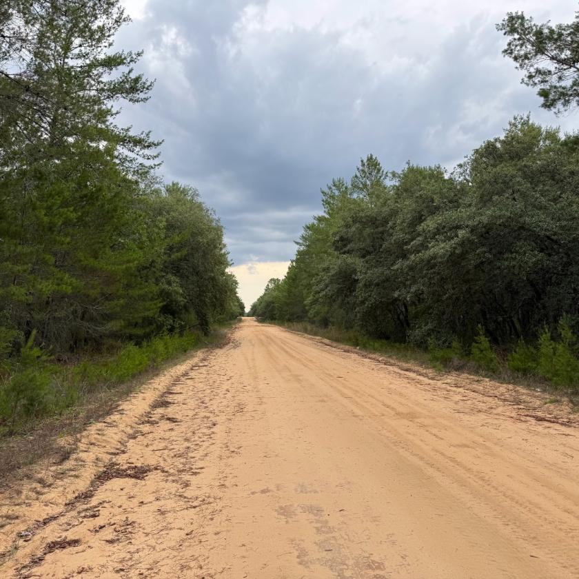 0.22 Acres for Sale in Interlachen, Florida