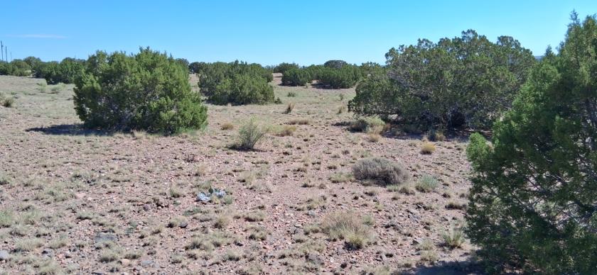 1.04 Acres for Sale in Concho, Arizona