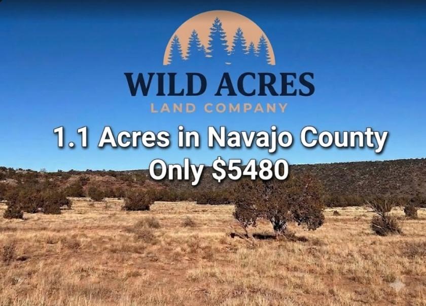 1.1 Acres for Sale in Snowflake, Arizona