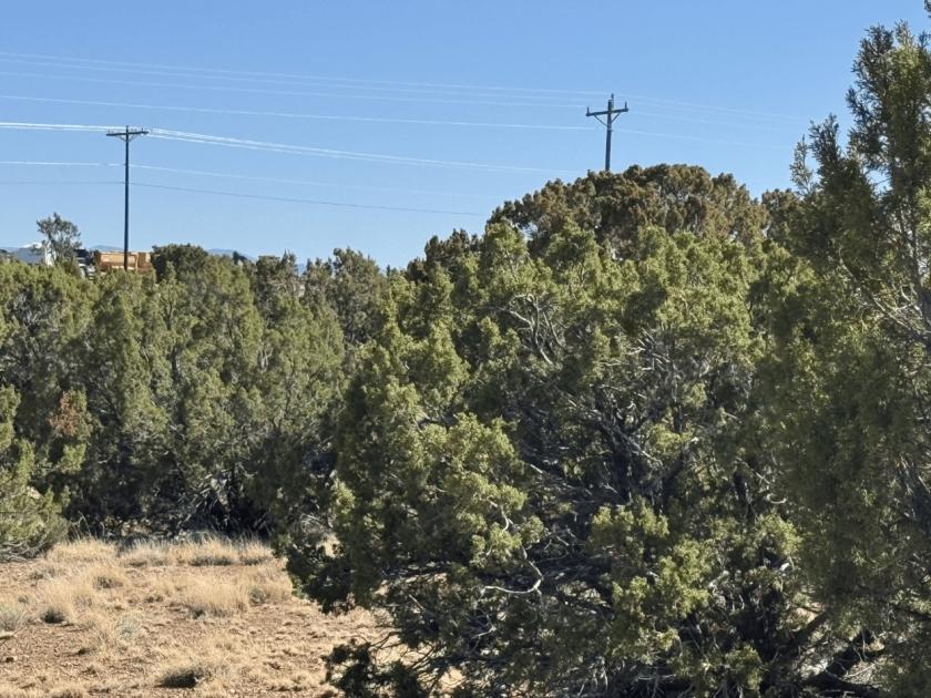1.11 Acres for Sale in Concho, Arizona