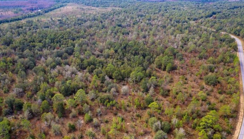 0.23 Acres for Sale in Chipley, Florida