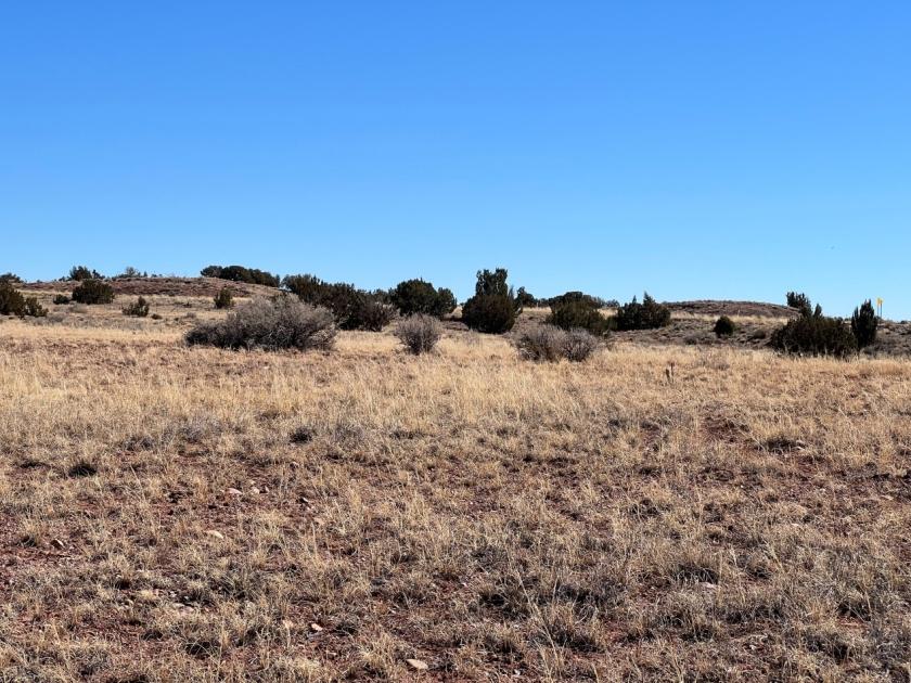 0.47 Acres for Sale in Concho, Arizona