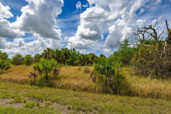 North Port, FL Land for Sale: 0.28 Acres with Paved Road Access
