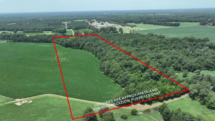 32.2 Acres for Sale in Dudley, North Carolina