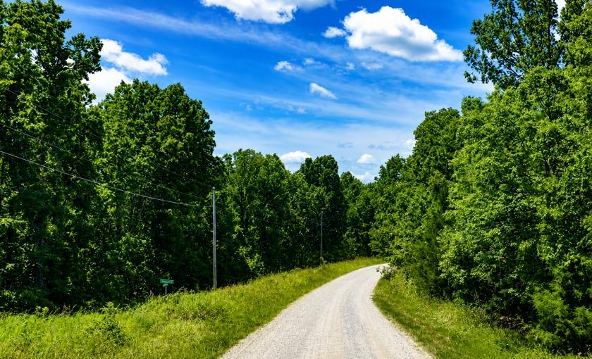 0.35 Acres for Sale in Cherokee Village ( Lake Omaha), Arkansas