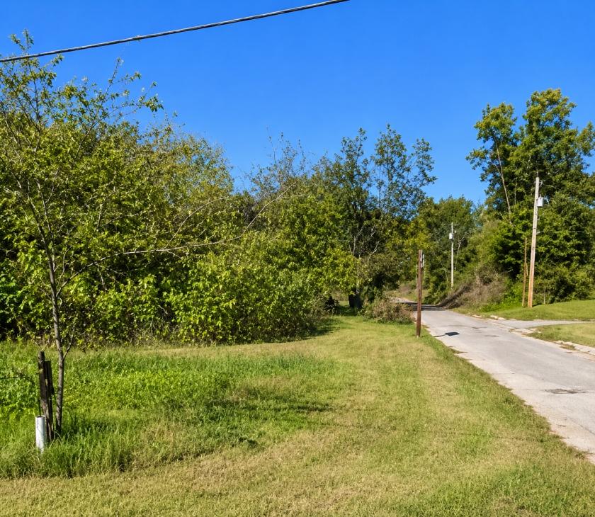 0.31 Acres for Sale in Helena-West Helena, Arkansas