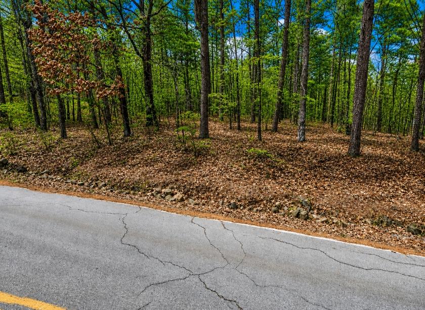 0.5 Acres for Sale in Greers Ferry Lake, Arkansas