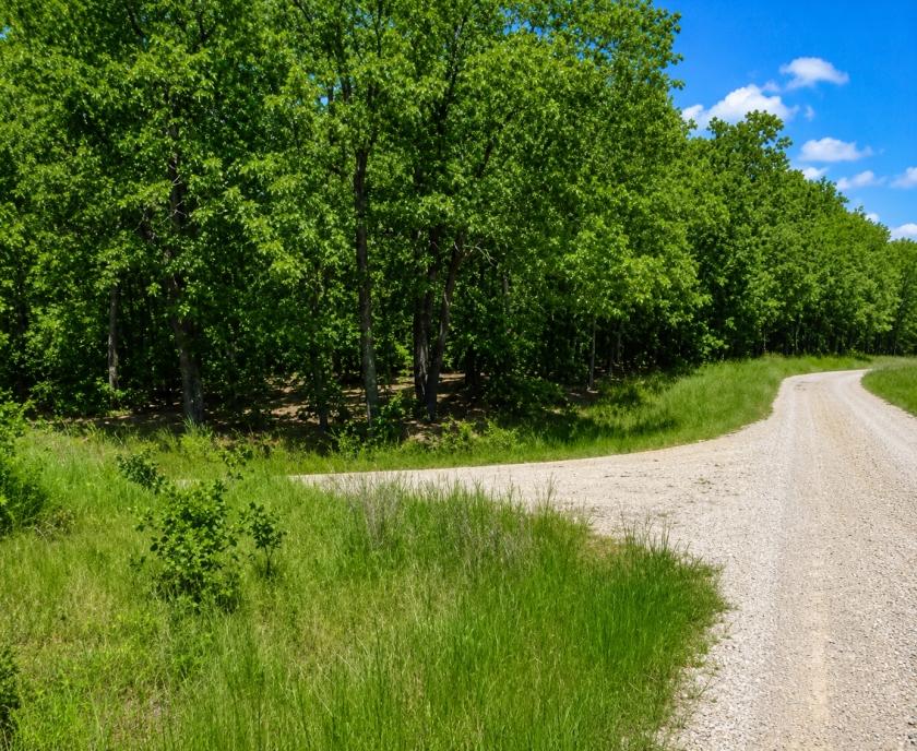 0.28 Acres for Sale in Cherokee Village (Near Lake Omaha), Arkansas