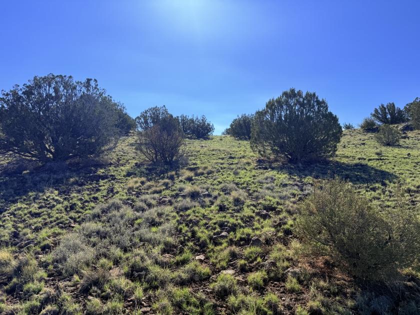 1.04 Acres for Sale in Concho, Arizona