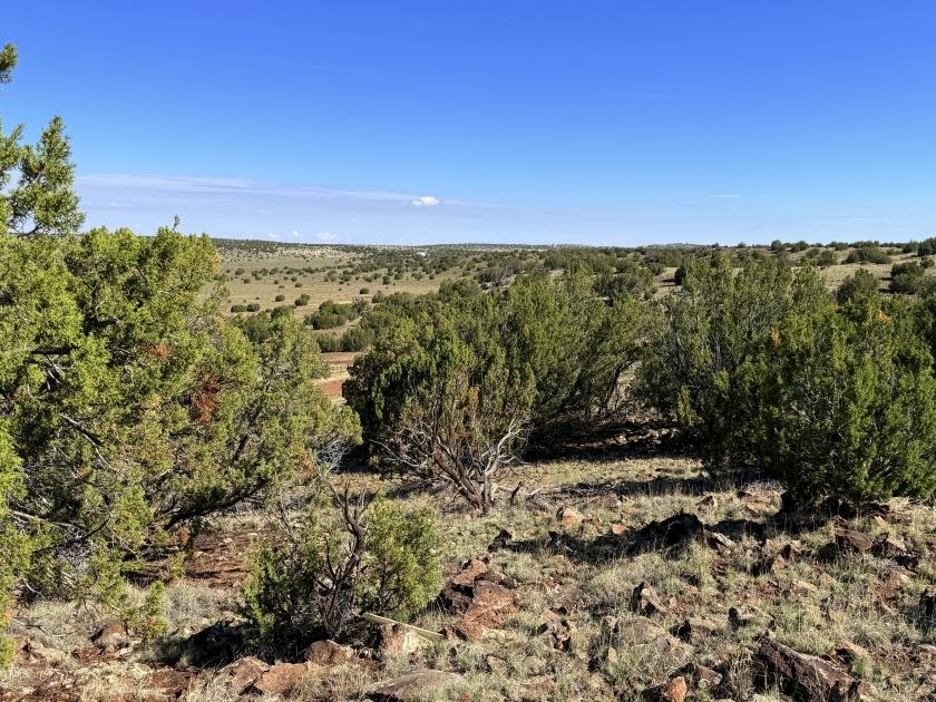 1.04 Acres for Sale in Concho, Arizona