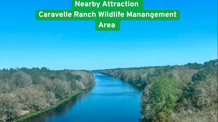 0.21 Acres for Sale in Interlachen, Florida