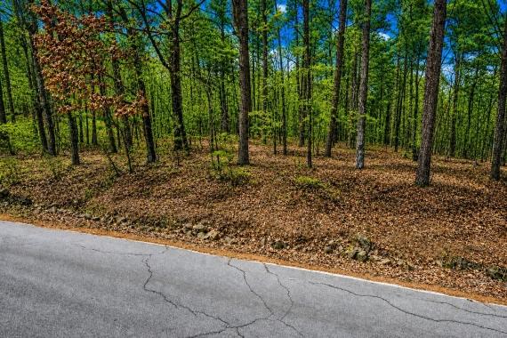 Greers Ferry Lake, AR Land for Sale: 0.5 Acres with Paved Access & City Utilities