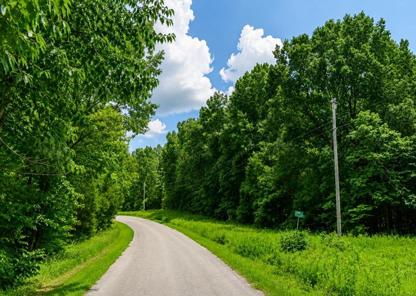0.39 Acres for Sale in Cherokee Village, Arkansas