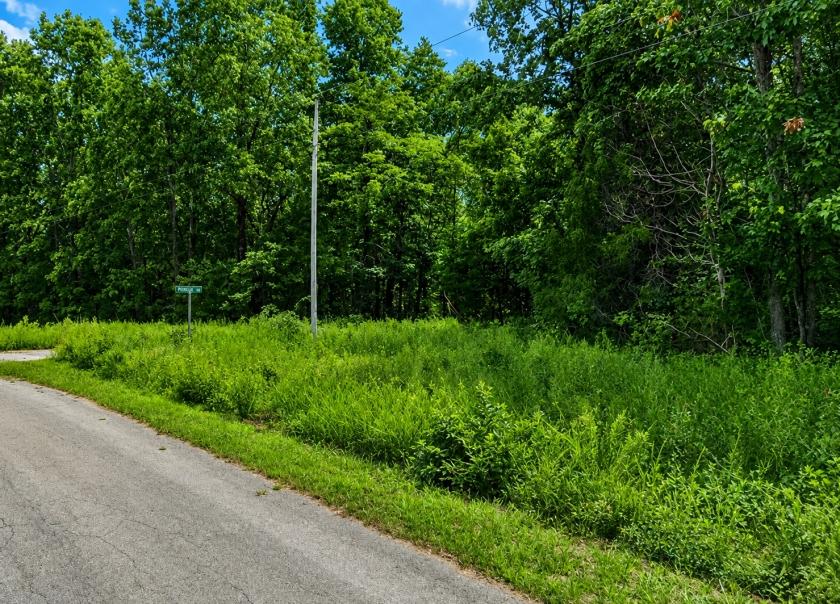 0.41 Acres for Sale in Cherokee Village, Arkansas