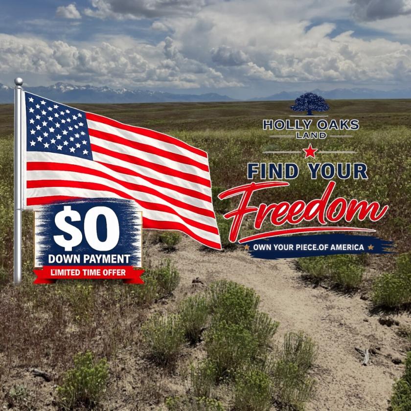 43.55 Acres for Sale in Elko, Nevada