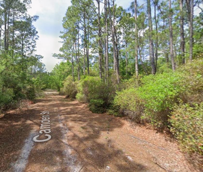 0.23 Acres for Sale in Georgetown, Florida