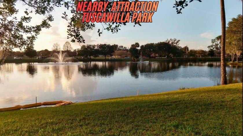 0.22 Acres for Sale in Interlachen, Florida