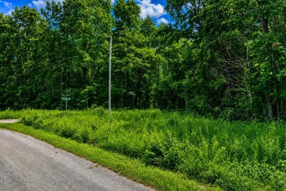 Cherokee Village Arkansas Land for Sale: 0.41 Acres with $838 Cash Price