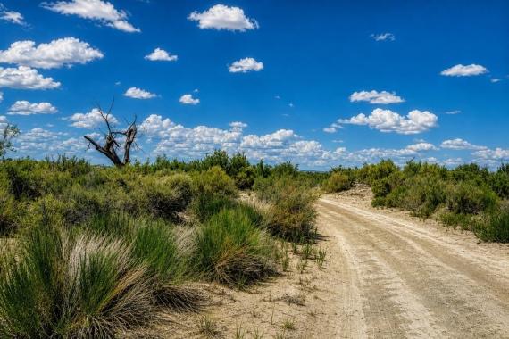 Fallon (Owner Finance for $1,399.00 a month) No Credit Check, NV Land for Sale: 640 Acres with Owner Financing