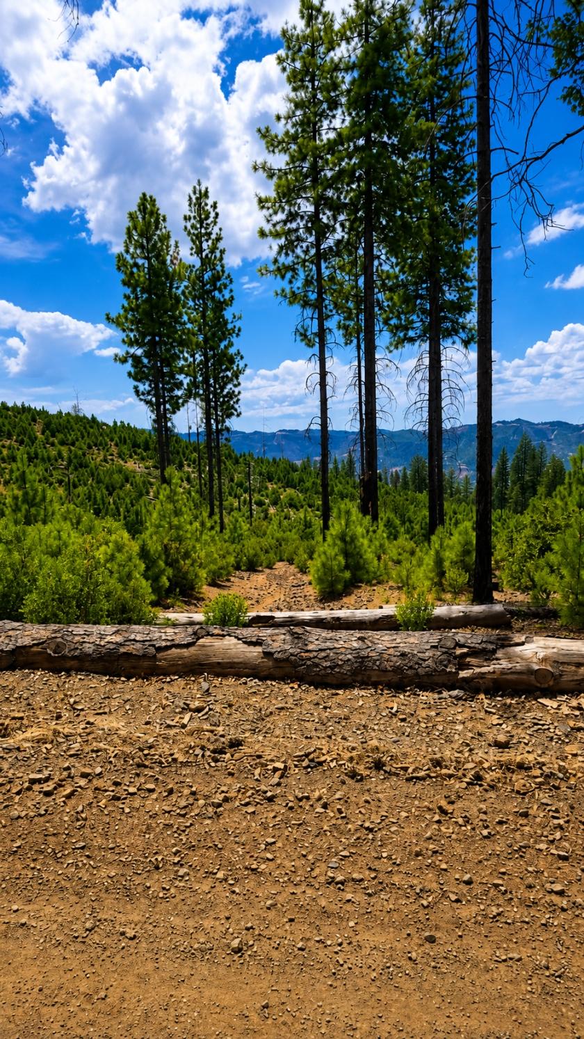 5.05 Acres for Sale in Cobb, California