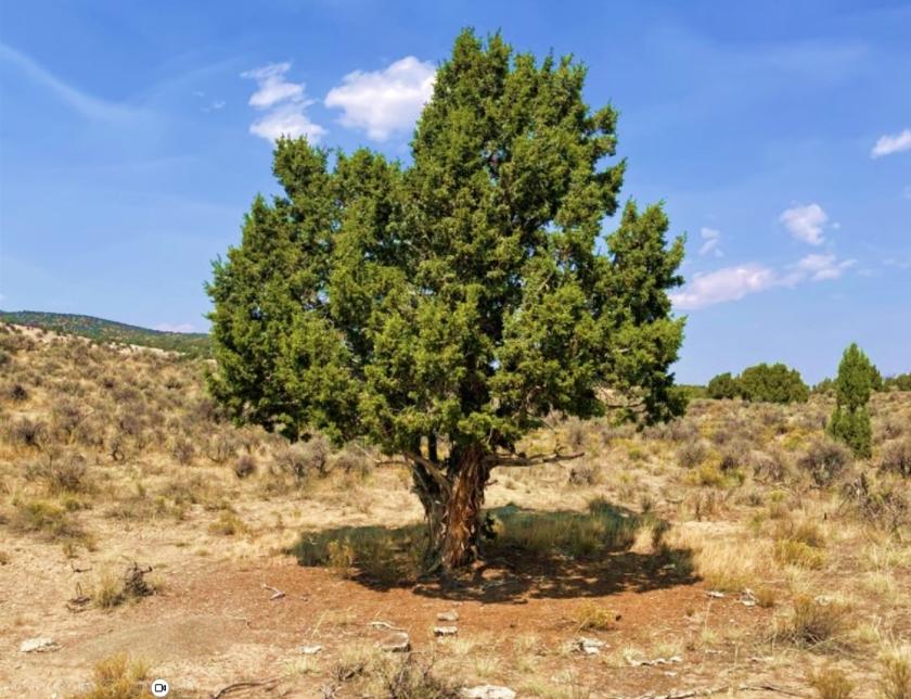 40-Acre Land for Sale in Montello, NV - $23,999