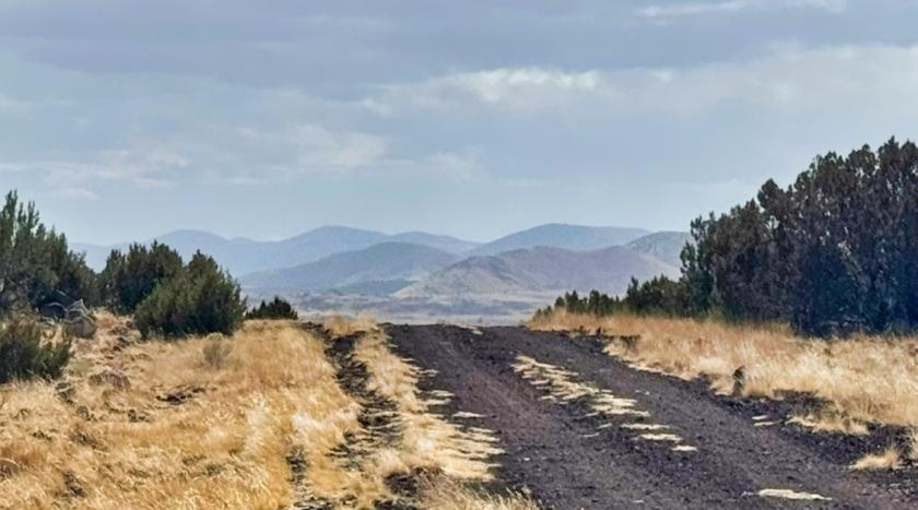 1.07 Acres for Sale in Concho, Arizona