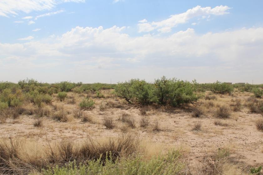 5 Acres for Sale in Sunshine, New Mexico