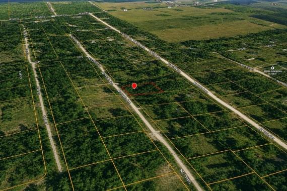 0.32 Acres of Land for Sale in Williston, FL with Owner Financing