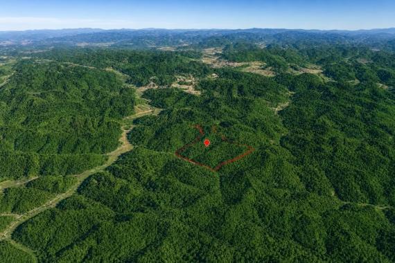Salyersville, KY Land for Sale: 113 Acres with Paved Road Access